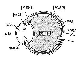 iofig1