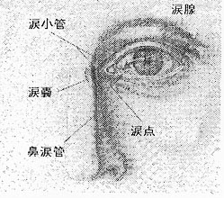 iufig1